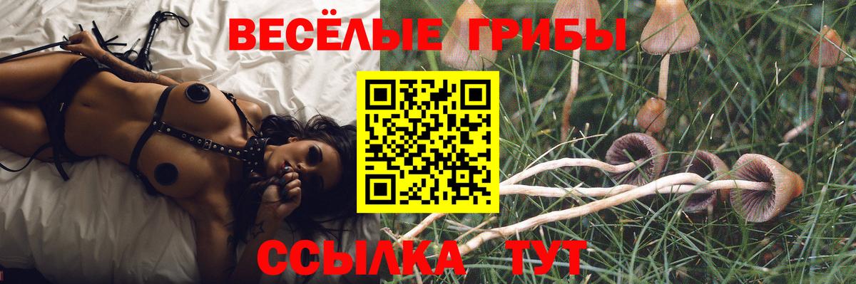Галлюциногенные грибы мухоморы  Псилоцибиновые грибы Psilocybine cubensis  Вход с VPN  Медногорск 