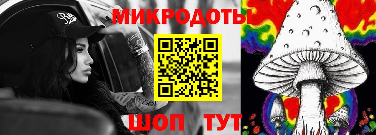 Псилоцибиновые грибы Psilocybine cubensis Медногорск